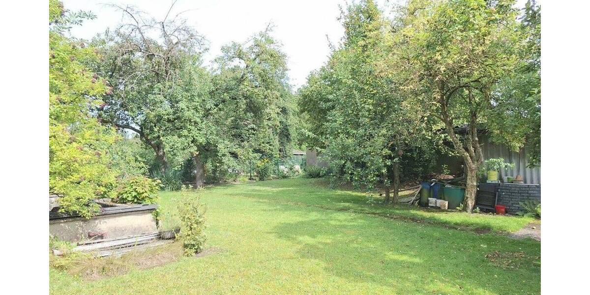 Garten Bild 2